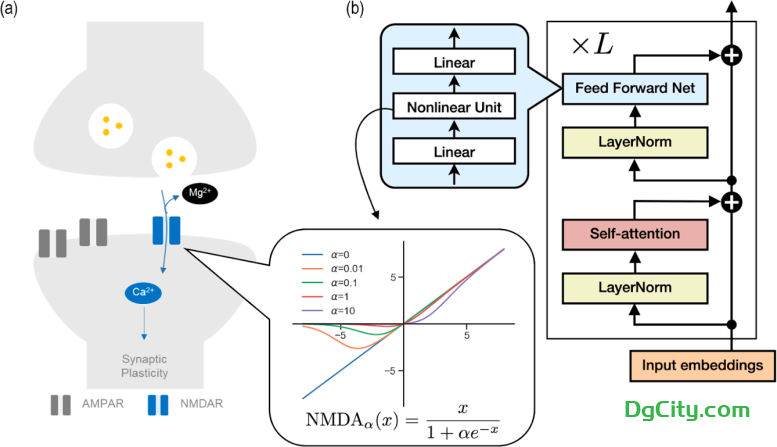 图片[2]-惊人的发现：人工智能显示出类似人类的记忆形成-oserp
