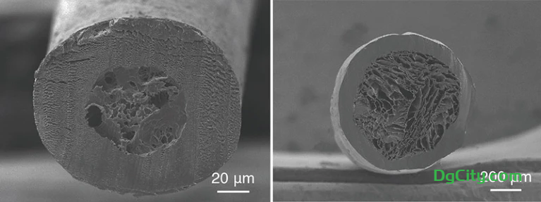 图片[2]-科学家合成北极熊毛皮毛衣比羽绒服更薄，同样保暖-oserp