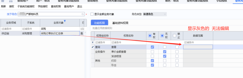 采购订单执行汇总表设定查看范围显示灰色 无法修改的问题-oserp