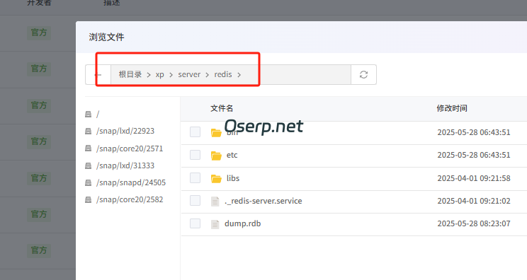 图片[8]-wordpress 安装redis 缓存以及出错问题解决过程-oserp