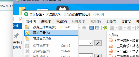 图片[2]-emby音乐库：自动给「本地音乐」添加专辑封面 / 歌曲信息 / 歌词：Music Tag音频文件内嵌歌词的方法-oserp