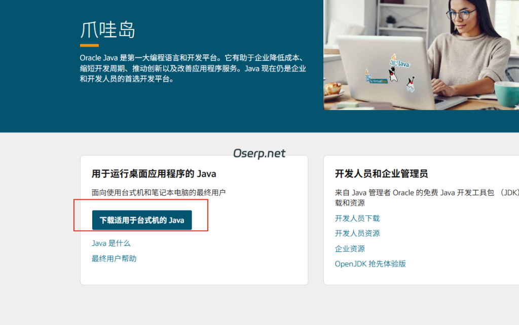 图片[8]-DELL 730XD服务器使用iDRAC安装操作系统-oserp