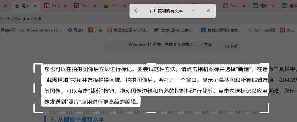 图片[8]-Windows 11 截图工具的 7个意想不到的功能（不仅仅局限于屏幕截图）-oserp